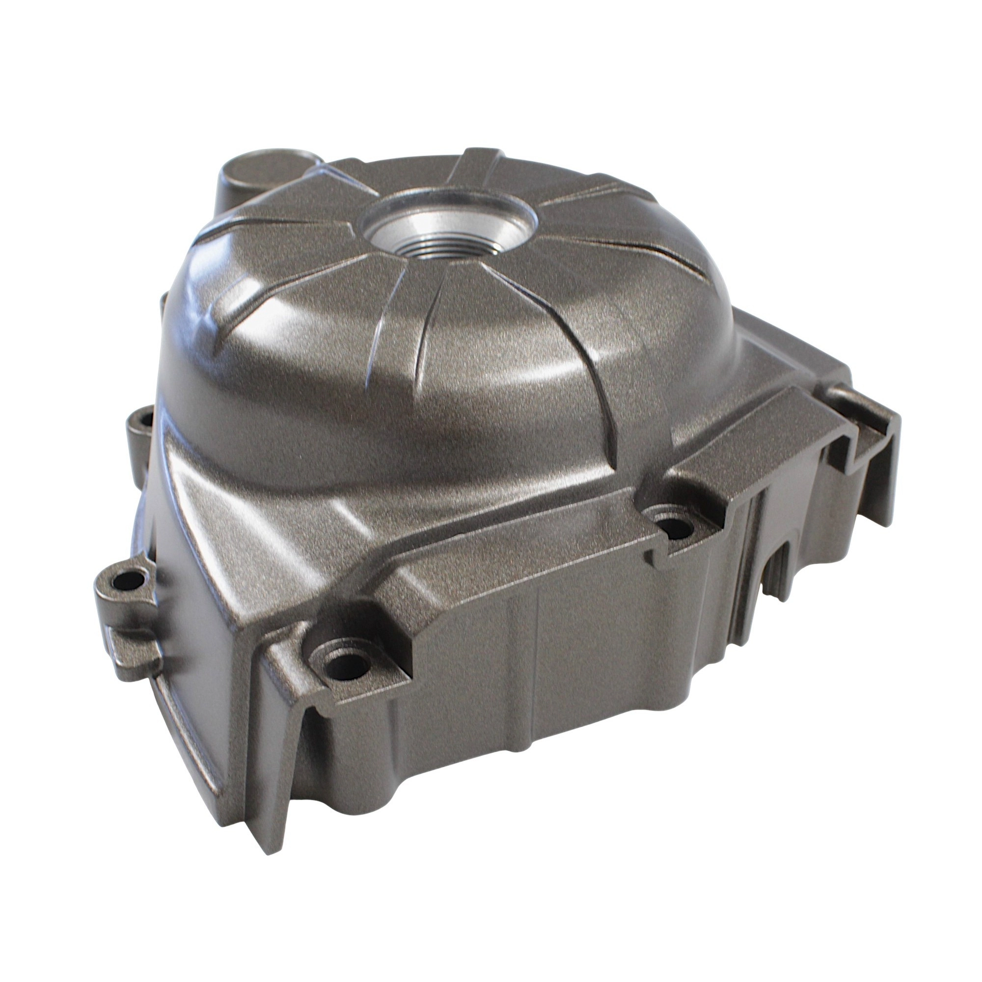 QJ MOTOR SRV 250 VS MOTOR KAPAĞI SOL #RK 66221